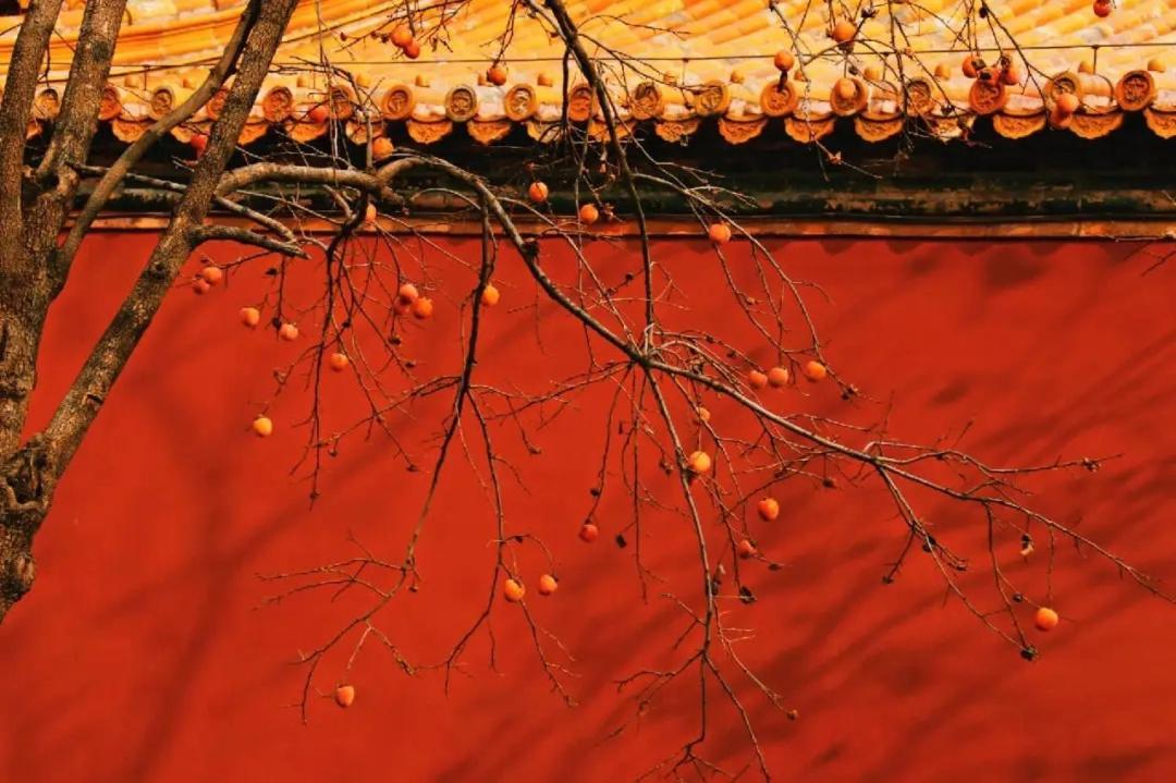 The East Hotel-Very Close To The Drum Tower,The Lama Temple,Houhai Bar Street,And The Forbidden City,There Are Many Old Beijing Traditional Hutongs Around The Hotel ,Experience The Culture Of Old Beijing Hutongs,Near Exit A Of Shichahai On Metro Line Kültér fotó